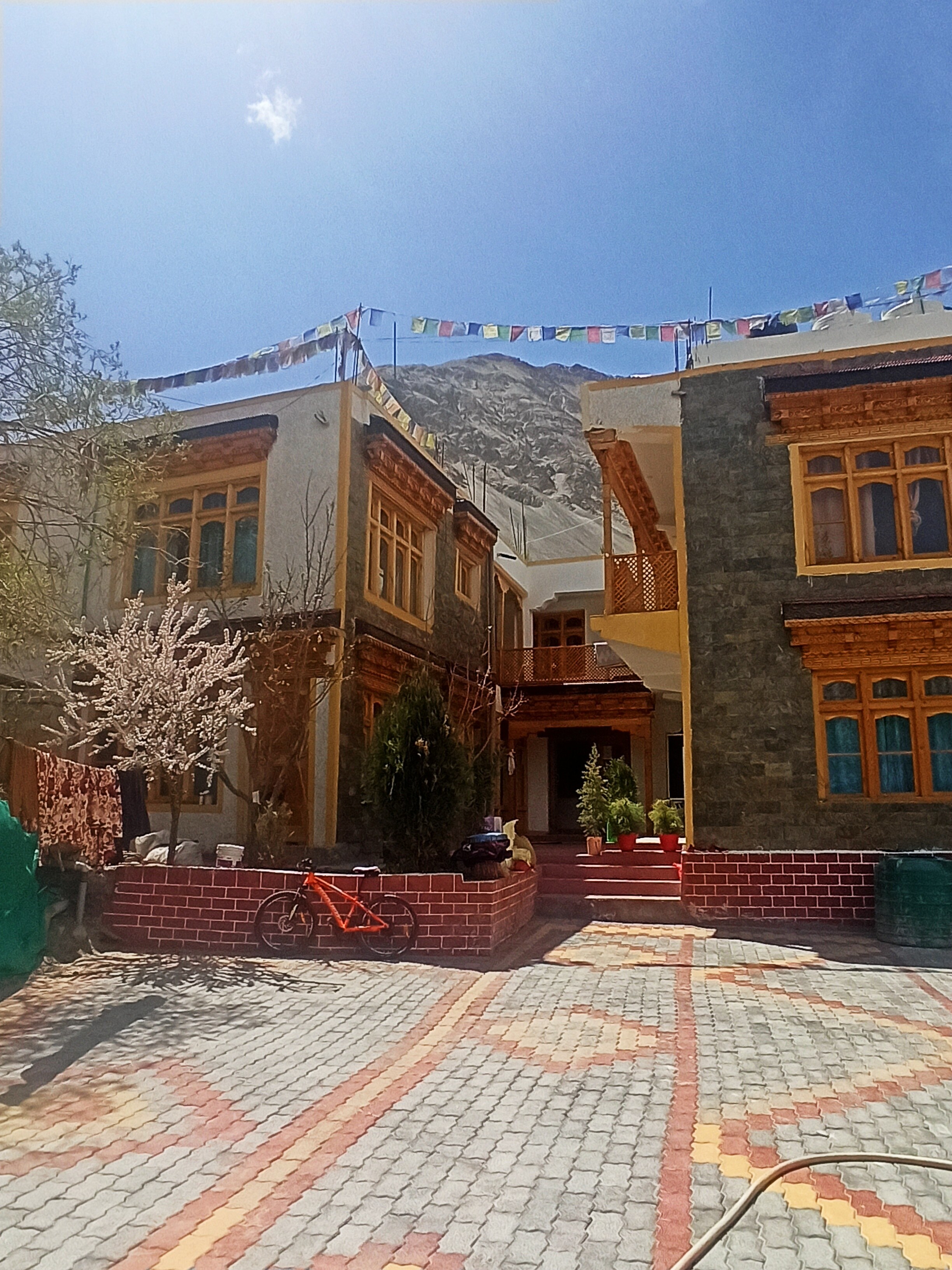 Himalayan regal house