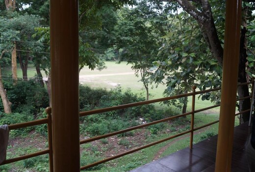Jungle Paradiso Homestay
