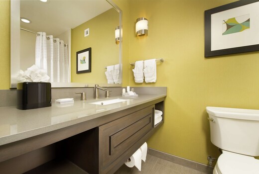 Hilton Garden Inn College Station Hotel