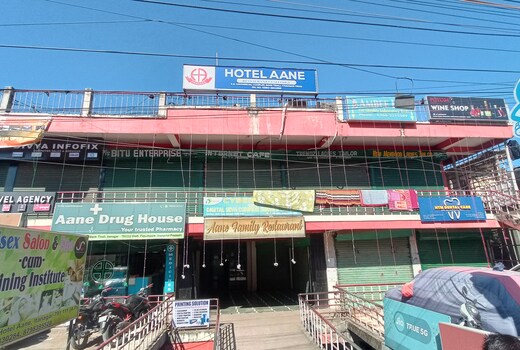 Hotel Aane