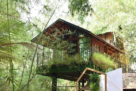 Green Tree House With Pool