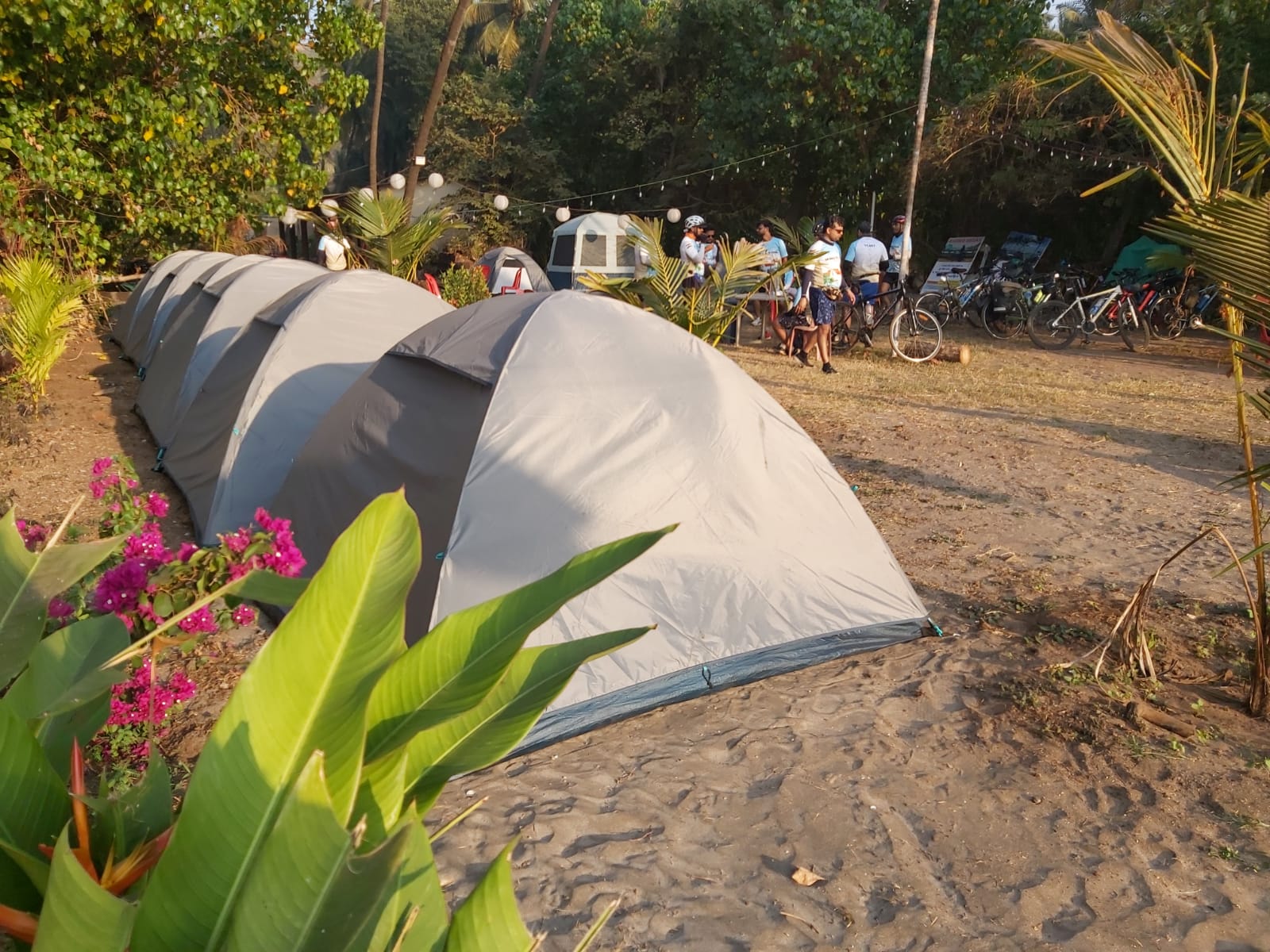 Travel Moody Campsite