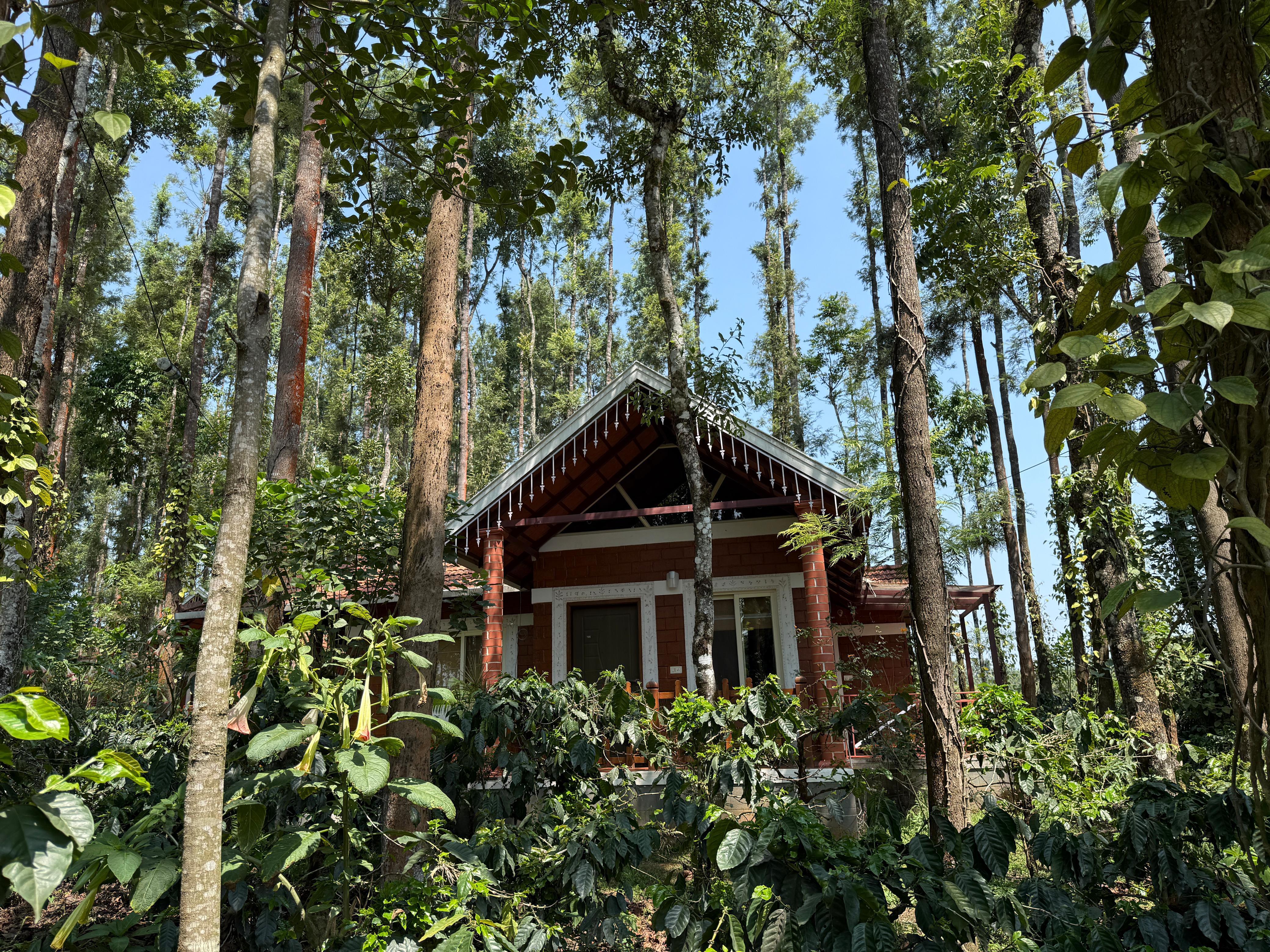 Coffee Grove Resort