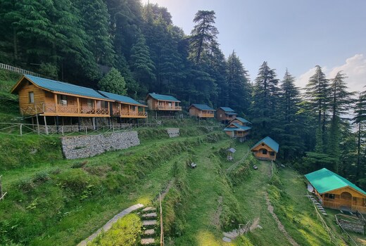 Mid Conifer | Resort & Cottages
