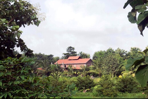 Arwa Farms