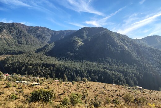 House of Deodar - Devalsari