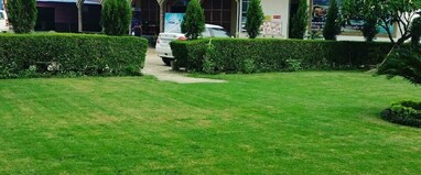 Vk garden