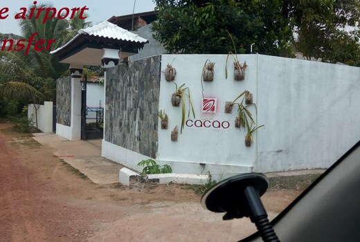 Cacao