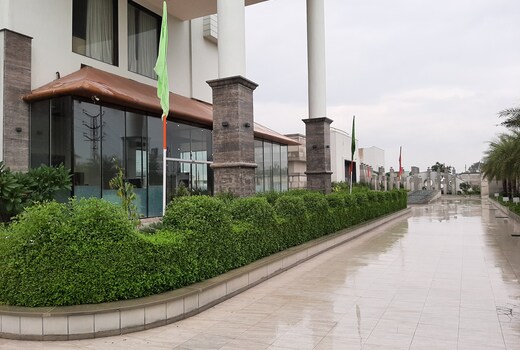 Main gallery