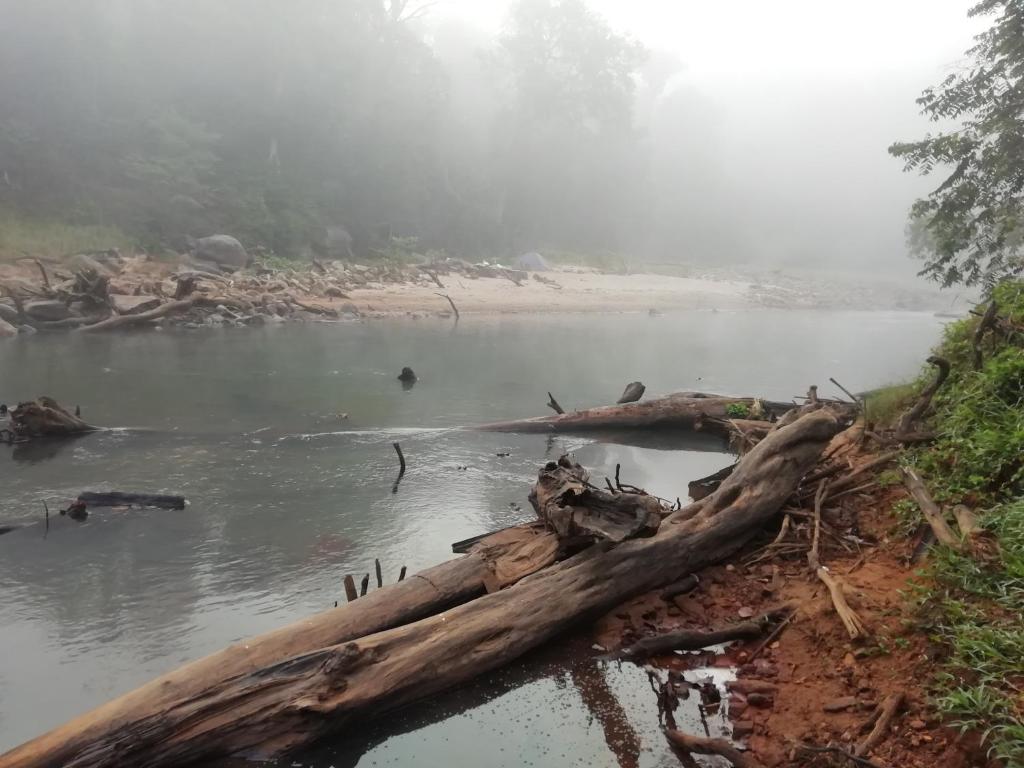 Coorg River Rock Camping