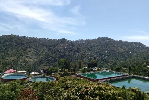 Kasauli Hills Homestay Scenic Balcony Views