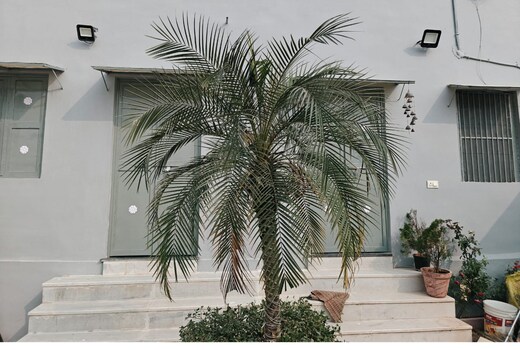 Sindhi villa