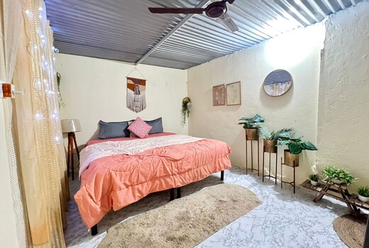 Simple farm stay Dog friendly