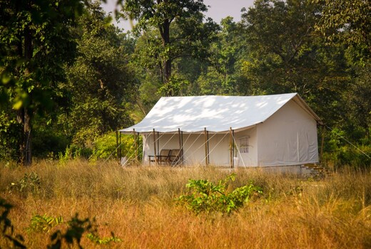 Umaria Safari Camp