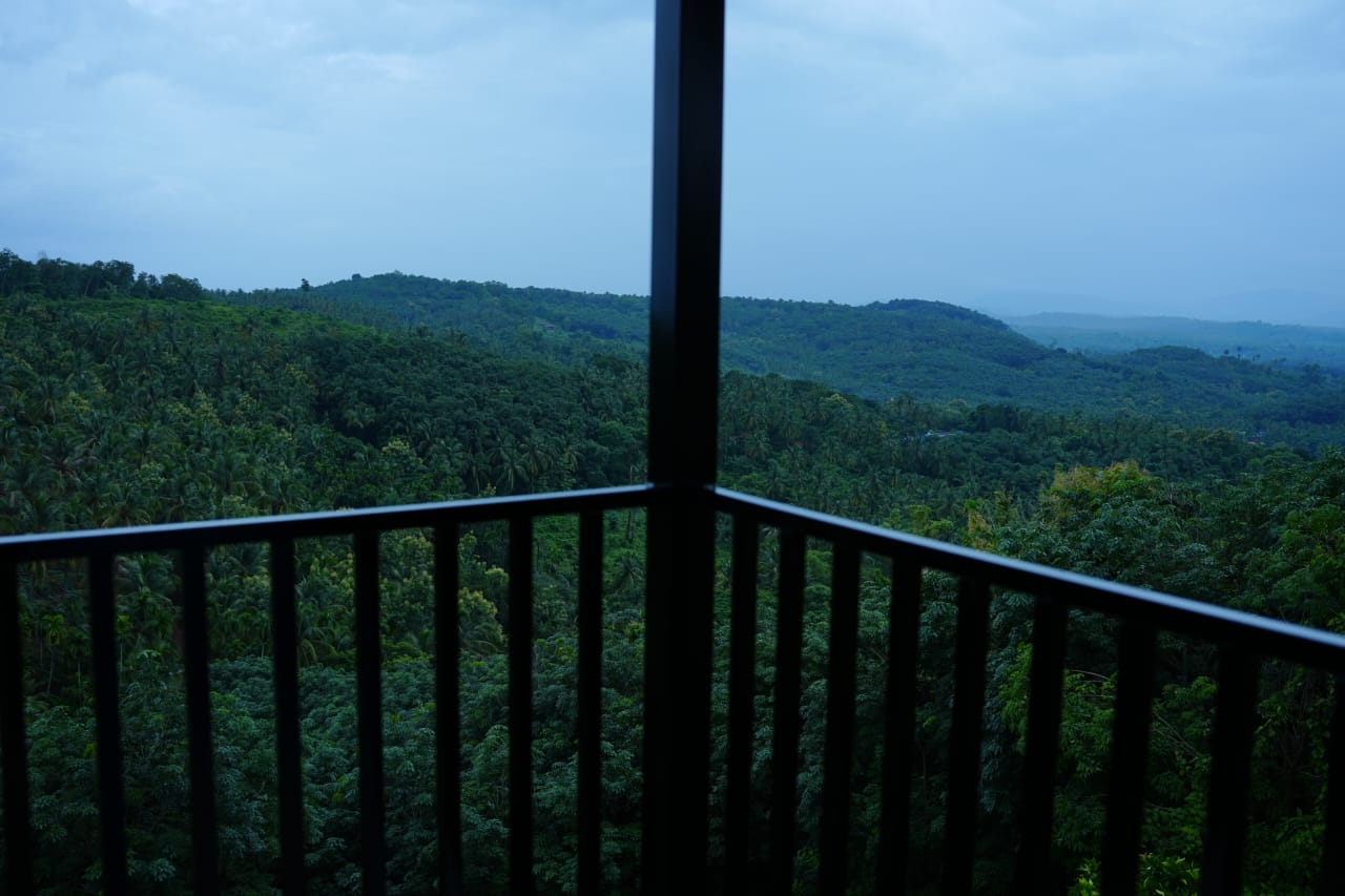 Orchid Hills