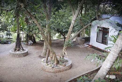 Bhoomi Farms