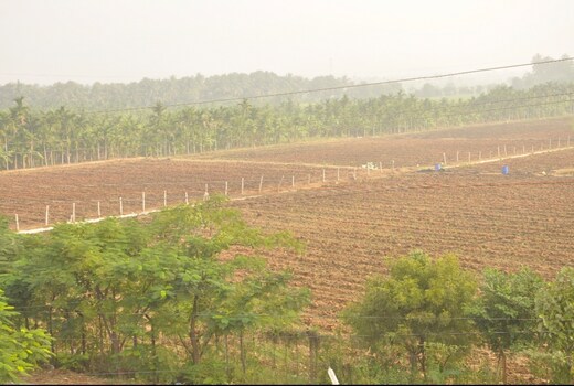 Suresh Homestay