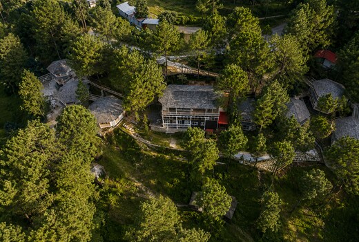 The Woods Retreat