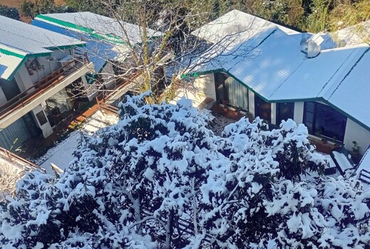 Woodsmoke Retreat (12kms before Shimla)