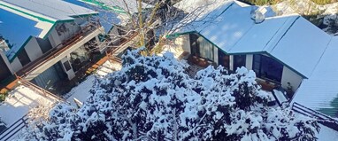 Woodsmoke Retreat (12kms before Shimla)