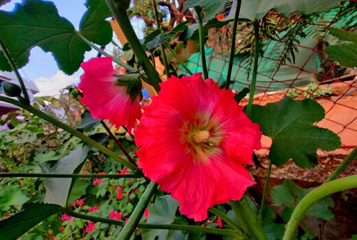 Trimurti Holiday Home