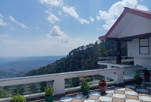 Green Palms Rubystone Exotic