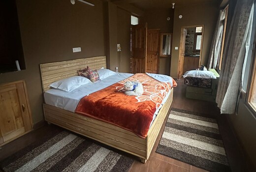 The Chill nest