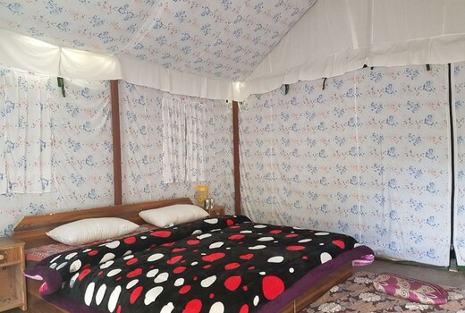 Manali Picnic Spot and Camps
