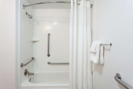Hampton Inn Orlando International Drive/Conv Ctr