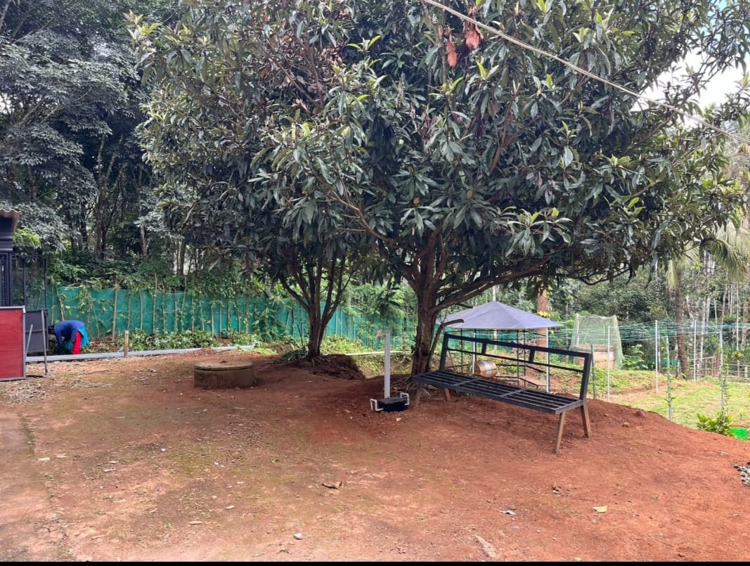 The Loquat Inn