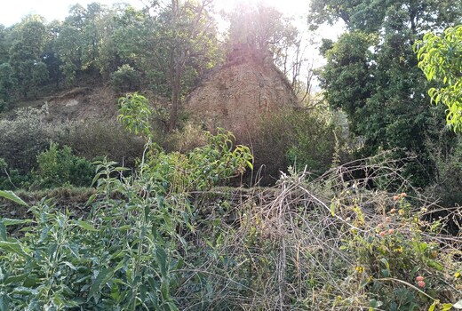Jivika homestay
