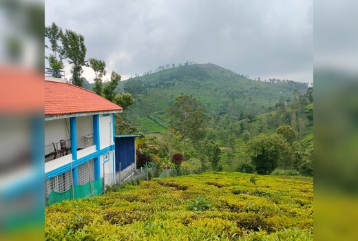 Wild Nest Kotagiri