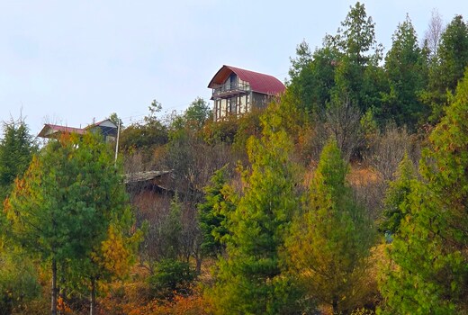 Wild Rupi Cottage