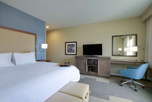 Hampton Inn by Hilton Snyder TX