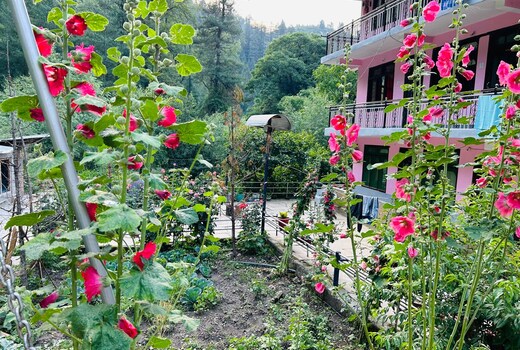 The River Front Homestay Jibhi