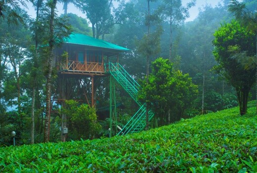 Dream Catcher Plantation