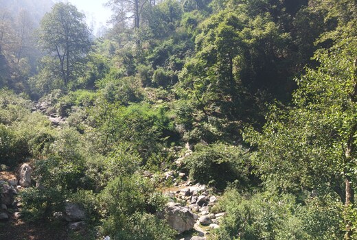 Lavanya Homestay