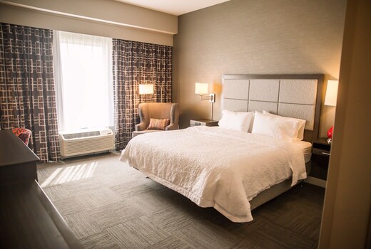 Hampton Inn by Hilton Pontiac