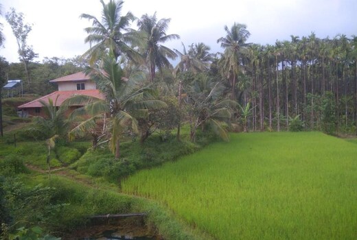 GUBBIKANTHA HOMESTAY