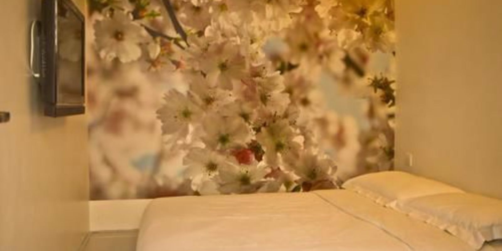 V Garden Hotel