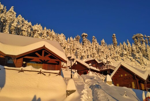 Woodays Resort