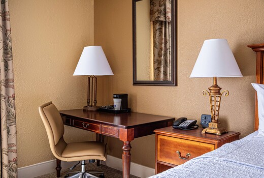 Hampton Inn Charleston - Historic District