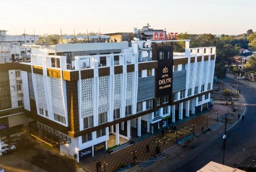 DELITE PALLADIUM