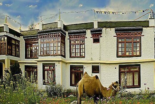 Hotel Yarab TSO Nubra