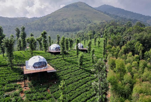 Vythiri Tea Valley | Domes on Tea Plantation