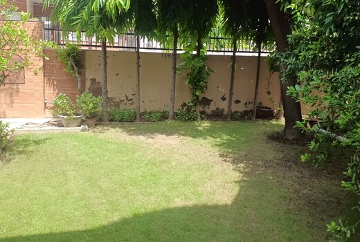 Tej bagh Colony Patiala