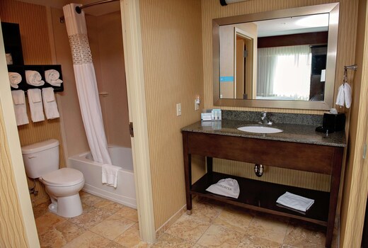 Hampton Inn & Suites Bradenton Downtown Historic District
