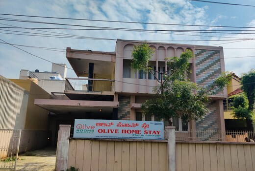 Olive Home Stay
