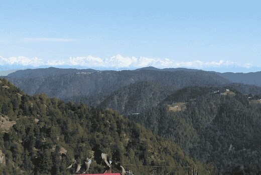 Govind's villa
