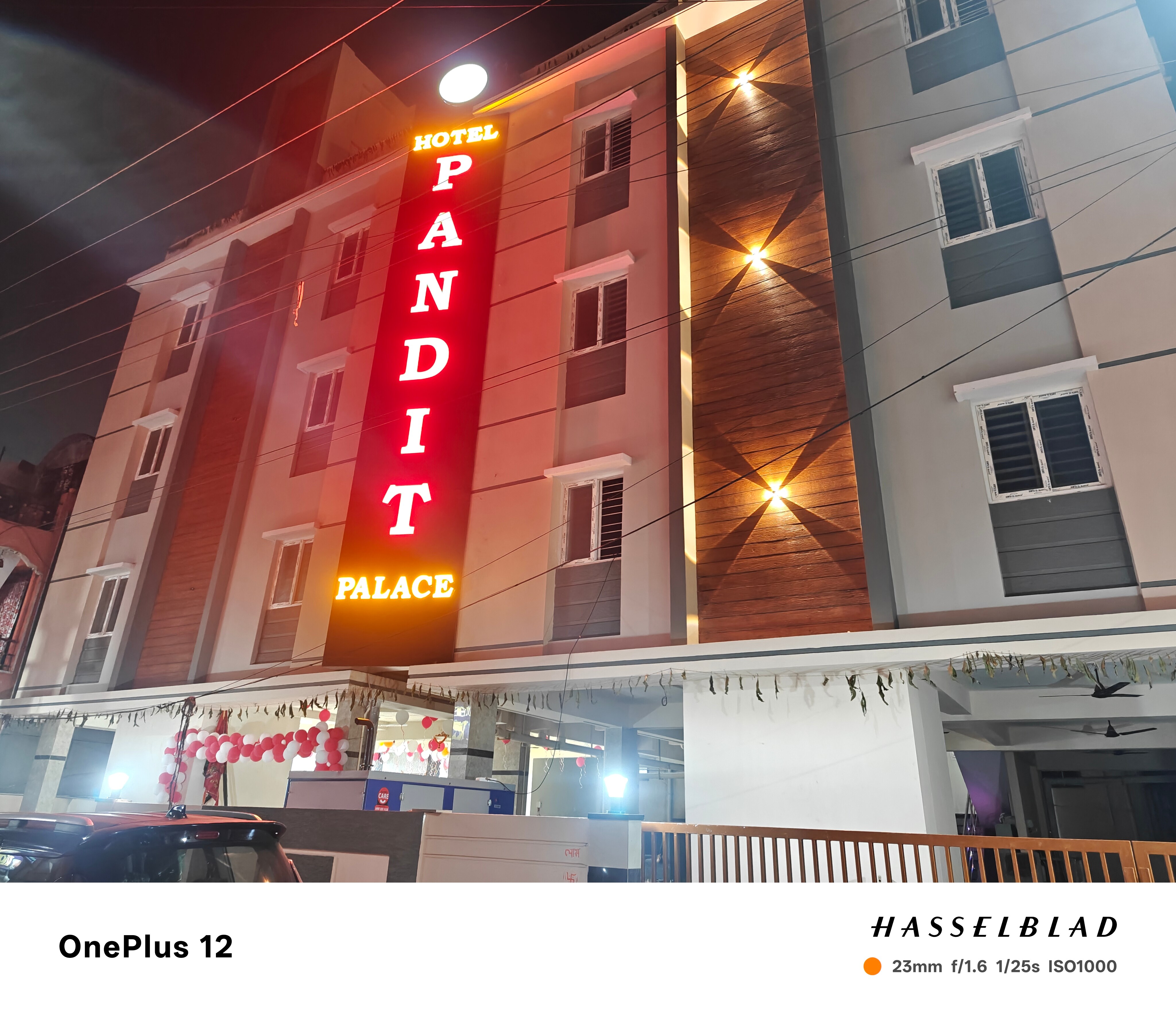 Hotel Pandit Palace